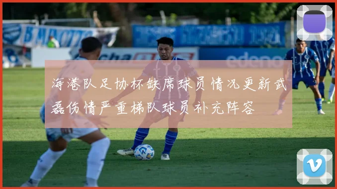 海港队足协杯缺席球员情况更新武磊伤情严重梯队球员补充阵容