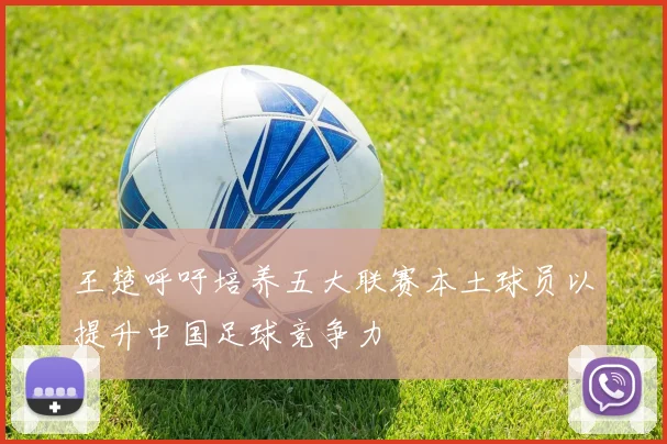王楚呼吁培养五大联赛本土球员以提升中国足球竞争力