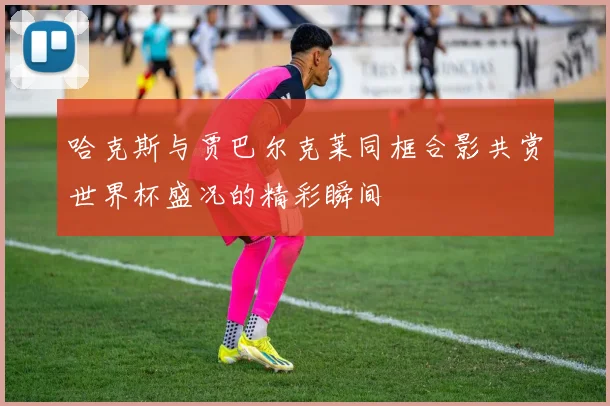 哈克斯与贾巴尔克莱同框合影共赏世界杯盛况的精彩瞬间